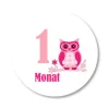 12 Meilensteinaufkleber Eule rosa Aufkleber zwölf Monate Baby Mädchen Kinder Dekoration