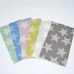Sale 10 Papierbeutel Big Star Adventskalender