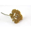 Tischdekoration|greetlings – greets & seeds 1 Stiel Trockenblume Schafgarbe gelb