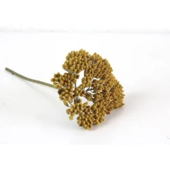 Tischdekoration|greetlings – greets & seeds 1 Stiel Trockenblume Schafgarbe gelb