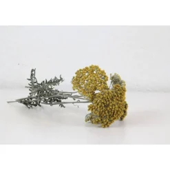 Discount 5 Stiele Trockenblumen Schafgarbe gelb Tischdekoration