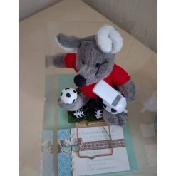 Best Achtung Mäuse Geldgeschenk für Fußballer – Originelle Mausefalle mit Plüschmaus als Geschenkidee Geschenke