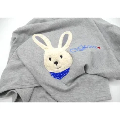 Babydecke mit Hasen und Namen - Kindergartendecken - Wunschdecke - Kinderdecke _ Schmusedecke mit Namen Gastgeschenke