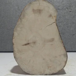 Best Baumscheibe, Holzscheibe, gestockt, Pappel,Holz, Bastelholz, Holzdeko, Dekoration,Holz Geschenke