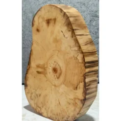 Best Baumscheibe, Holzscheibe, gestockt, Pappel,Holz, Bastelholz, Holzdeko, Dekoration,Holz Geschenke