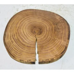 Best Baumscheibe, Holzscheibe, gestockt, Ulme, Bastelholz, Holz Geschenke
