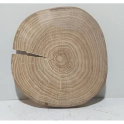 Best Baumscheibe, Holzscheibe, gestockt, Ulme, Bastelholz, Holz Geschenke