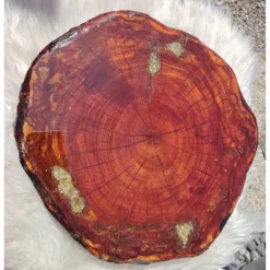 Best Baumscheibe, Tisch-Platte, TablettBaumscheibe Holzscheibe Hochzeitdeko,Dekoration, Tischdeko, Unikat Gastgeschenke