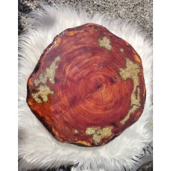 Best Baumscheibe, Tisch-Platte, TablettBaumscheibe Holzscheibe Hochzeitdeko,Dekoration, Tischdeko, Unikat Gastgeschenke