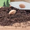 Deko Halloween|Naturmacher Besonderes Geschenk - Blumentopf graviert - Erstes Halloween