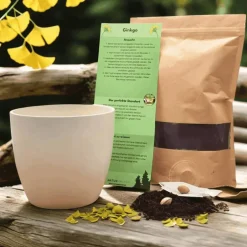 Deko Halloween|Naturmacher Besonderes Geschenk - Blumentopf graviert - Erstes Halloween
