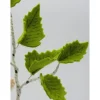 Sommer|Katjas Blumenkinder Birke - Blumenkind - Jahreszeitentisch - Waldorf Art- Art.Nr.SO36