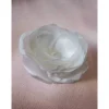 Best Braut Haarklammer Haarschmuck mit Perle weiß "Louise" festlich romantisch elegant Boho Brautschmuck
