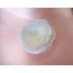 Best Braut Haarklammer Haarschmuck mit Perle weiß 