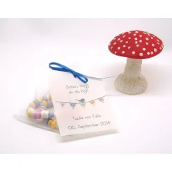 Best DIY Set Gastgeschenk personalisiert Taufe Kommunion Firmung Konfirmation Bat Mizwa bunte Wimpelkette mit Organzabeutel u Gastgeschenke
