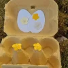 Sale Eierkarton originelle Osterverpackung gelb Geschenkverpackungen