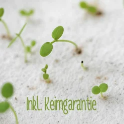 New Einpflanzbare Kommunionskarte aus Samenpapier | nachhaltige Geschenke zur Kommunion | Grußkarte für Kommunionskinder Glückwunschkarten