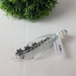 Best Gastgeschenk mit 5 Seifensterne i. Reagenzglas - CHRISTROSE - GRAU, Weihnachtsgeschenk, Kundengeschenk, Schafmilchseife Weihnachtsgeschenke