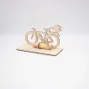Geldgeschenk Elektrofahrrad - aus Holz personalisiert Geldgeschenke