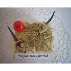 Discount Geldgeschenk Mäuse Kommunion Konfirmation Firmung Jugendweihe Jungen Mädchen Geld verschenken Geldgeschenke