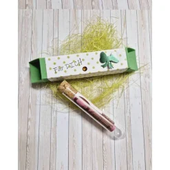 Outlet Geschenkbox für Geldgeschenk Reagenzglas – Handgemachte Geschenkidee Geschenkverpackungen