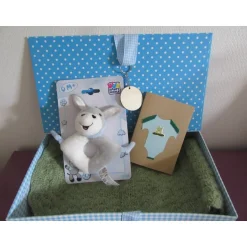 Discount Geschenkset Baby zur Geburt - Babydecke grün Geschenke