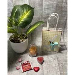 Outlet Geschenkset „kleine Auszeit“ zum Valentinstag, Muttertag, Geburtstag etc., Wellness-Tüte, Herz-Teelicht, Baderose, Tee Geschenke