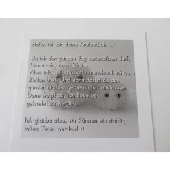 New Geschenkset Stressbälle - Knutschkühe personalisierbar Geschenke