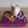 Clearance Geschenkverpackung Holztruhe "Gute Besserung" dekoriert mit Katze, Verbandszeug und Pflaster Geschenkverpackungen