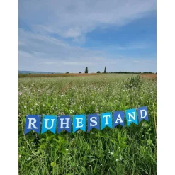 Geschenke|TiJaPapierDeko Girlande zum Ruhestand / Rente / Auf Wunsch personalisiert mit Wunschtext / Abschied /
