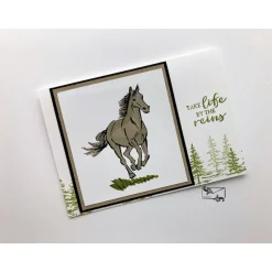 Outlet Glückwunschkarte Geburtstagskarte für Pferdefreunde Stampin up! Handarbeit Glückwunschkarten