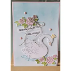Glückwunschkarte zur Geburt, verschiedene Designs Glückwunschkarten