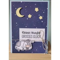 Glückwunschkarte zur Geburt, verschiedene Designs Glückwunschkarten