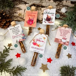 Weihnachtsgeschenke|KikisKreativeWelt by LMS Glühwein-Gewürz im Reagenzglas, Glühwein, Weihnachtsgeschenk, Wichtelgeschenk, kleine Aufmerksamkeit, Punsch