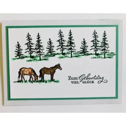 Clearance Grußkarte Glückwunschkarte Geburtstag Pferde Reitsport * 100% Handarbeit * Glückwunschkarten