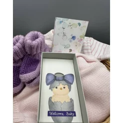 Best Handgemalte Geschenkbox zur Geburt – Welcome Baby mit Geldfach & Schleife Geschenke