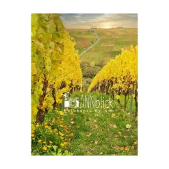 Discount Herbst im Weinberg, Weinland Franken, Herbstlaub gelb, Heimatbild Unterfranken, Fotokunst, Größe 18 x 24 cm Herbst