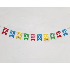 Dekoration|TiJaPapierDeko Hochwertige Girlande zum 30. Geburtstag oder Jubiläum, in leuchtend bunten Farben, Wimpel Wimpelkette Fahnengirlande Par