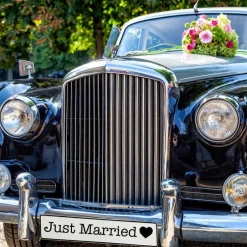Clearance Kennzeichen Herz zur Hochzeit Just Married Deko Hochzeitsauto Hochzeitskennzeichen Herzen Fotorequisite für Brautpaar Ho Hochzeitsdeko