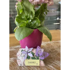 Clearance Kleine Geschenkschachtel Gastgeschenke