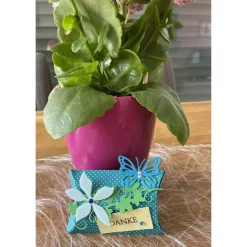 Clearance Kleine Geschenkschachtel Gastgeschenke