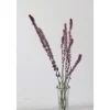 Tischdekoration|greetlings – greets & seeds Kleiner Bund Trockenblumen Strandflieder, rosa (Limonium suworowii)
