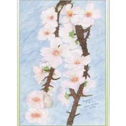Glückwunschkarten|Malerei & Digital-Art - Ulrike Kröll Kunst–Doppelkarte - „Mandelblüte in Spanien“ - bewusst ohne Textvorgabe - Design  Ulrike Kröll