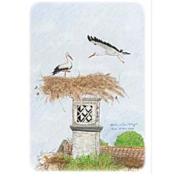 Outlet Kunst–Doppelkarte - „Störche in Faro“ - bewusst ohne Textvorgabe - Design  Ulrike Kröll. Glückwunschkarten