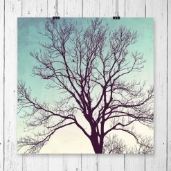 Online Kunstdruck, Sternenhimmel und Vogel im Winterbaum, Geschenk Weihnachten, Winterbild, 30 x 30 cm Weihnachtsgeschenke