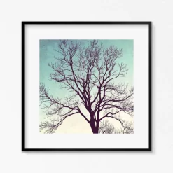 Online Kunstdruck, Sternenhimmel und Vogel im Winterbaum, Geschenk Weihnachten, Winterbild, 30 x 30 cm Weihnachtsgeschenke