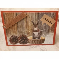 Weihnachtskarten|Teufelinchens_Ideen_Shop Merry Christmas - Tannenzapfen - Weihnachtskarte