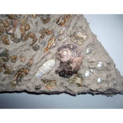Best Muschelbild SANDLIEBE Collage aus Sand und Muscheln Geschenk zu Valentinstag Muttertag Herz Handarbeit  Badezimmerbild Kunst