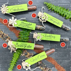 Discount Ostergeschenk Reagenzgläser gefüllt mit Wildblumensamen oder Kressesamen - 5er Set, kleine Aufmerksamkeit, Ostern, Blume Ostergeschenke