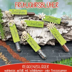 Discount Ostergeschenk Reagenzgläser gefüllt mit Wildblumensamen oder Kressesamen - 5er Set, kleine Aufmerksamkeit, Ostern, Blume Ostergeschenke